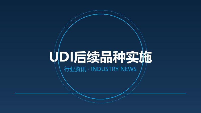 UDI政策